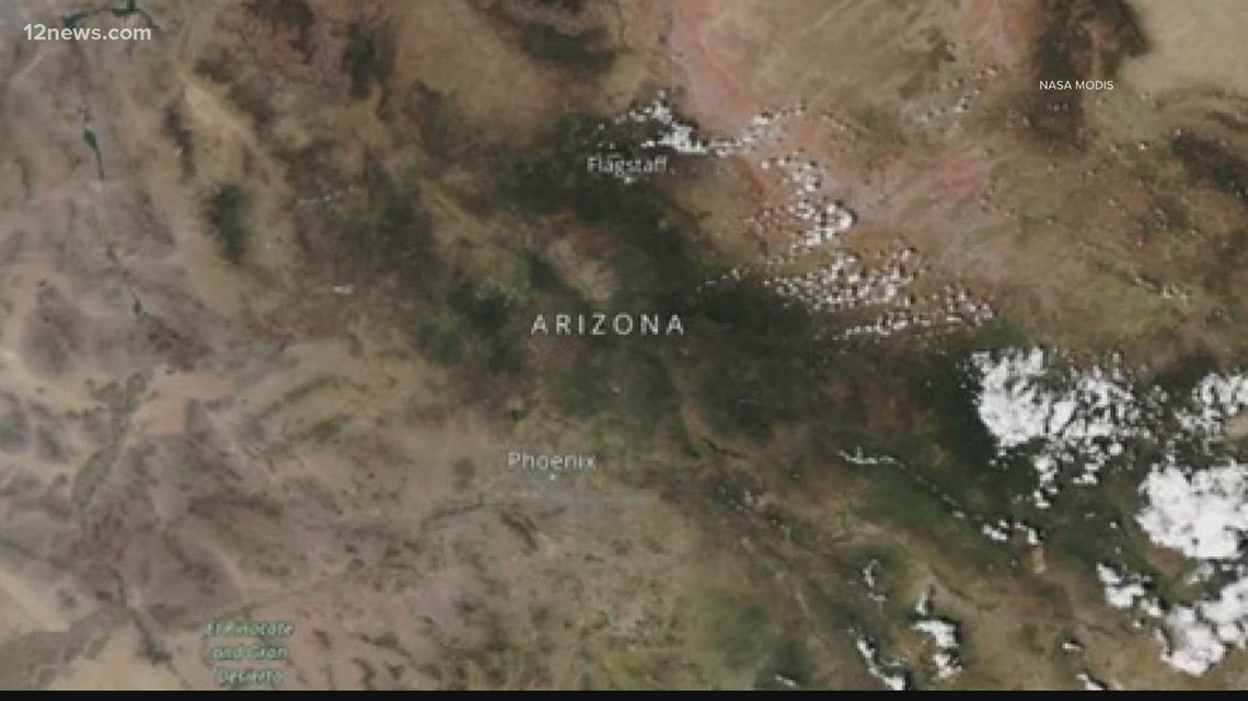 Satellite photos show Arizona is a lot greener than it was last year