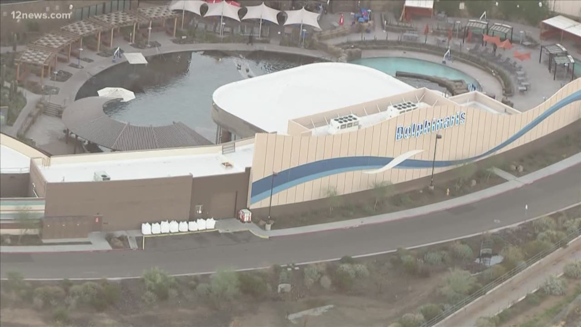 Dolphinaris said it will share future plans for the facility when they know more.