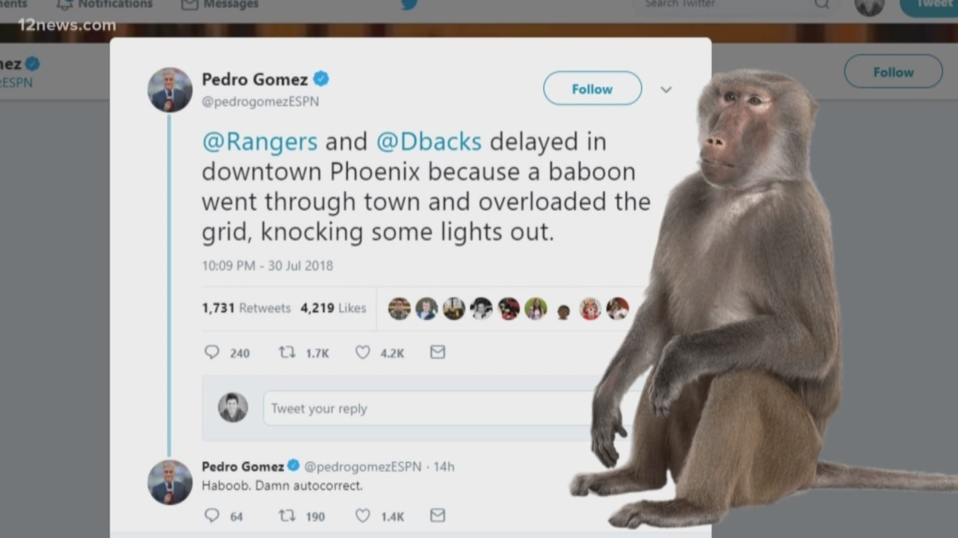 Pedro Gomez tweeted that a baboon was causing a delay to the Diamondbacks game when he meant a to tweet that a haboob was causing the delay. We play Baboon vs Haboob with him to see if he knows the difference.