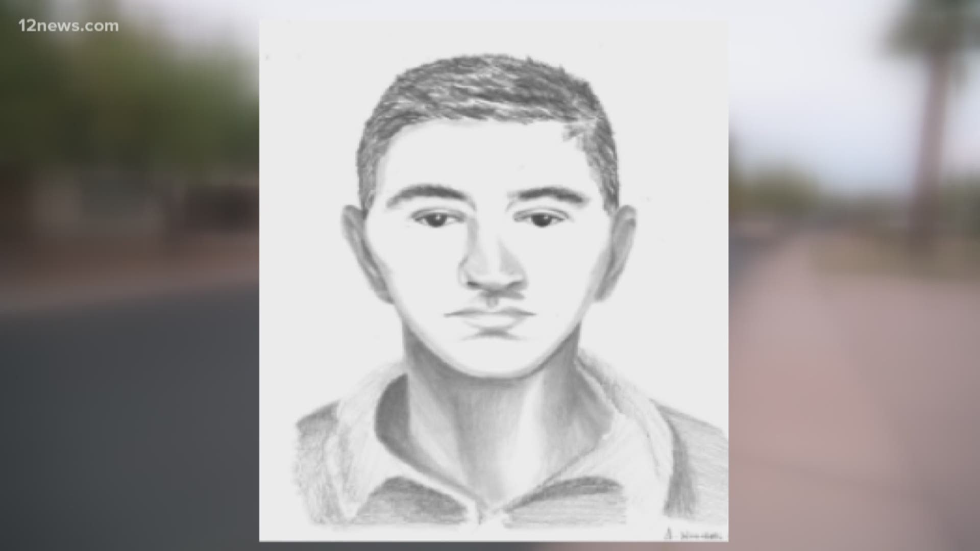 Police released a sketch of the hit-and-run driver who struck a family of three in Tempe, resulting in the hospitalization of a 3-year-old boy.