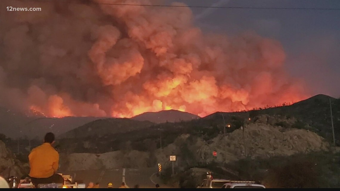 U.S. Forest Service launches wildfire mitigation program in Arizona