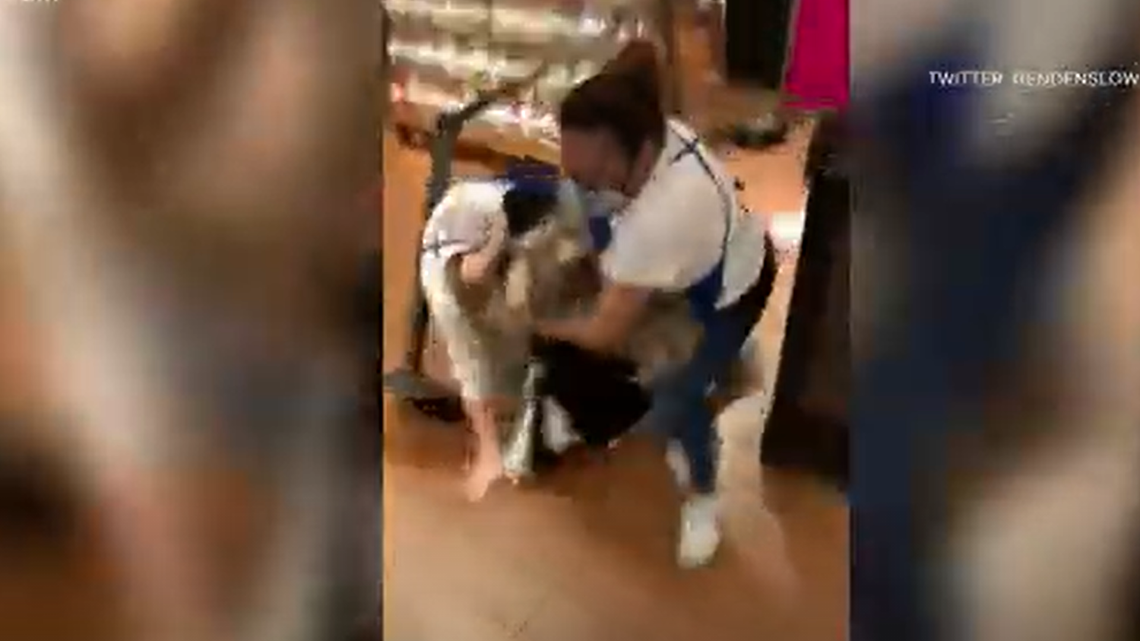 Viral video captures brawl inside Scottsdale Bath & Body Works