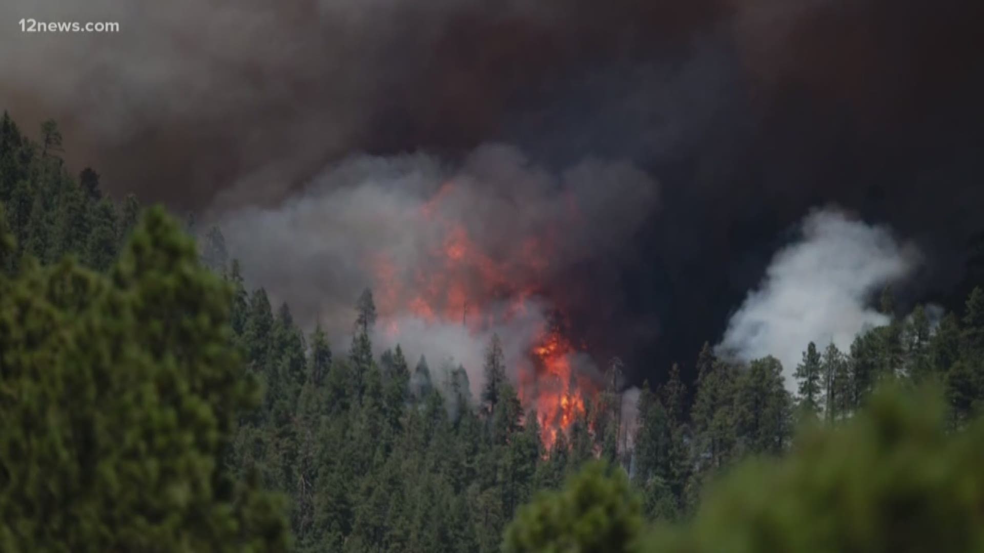 The Museum Fire is currently burning north of Flagstaff and is zero percent contained. Michael Doudna has the latest on the wildfire.
