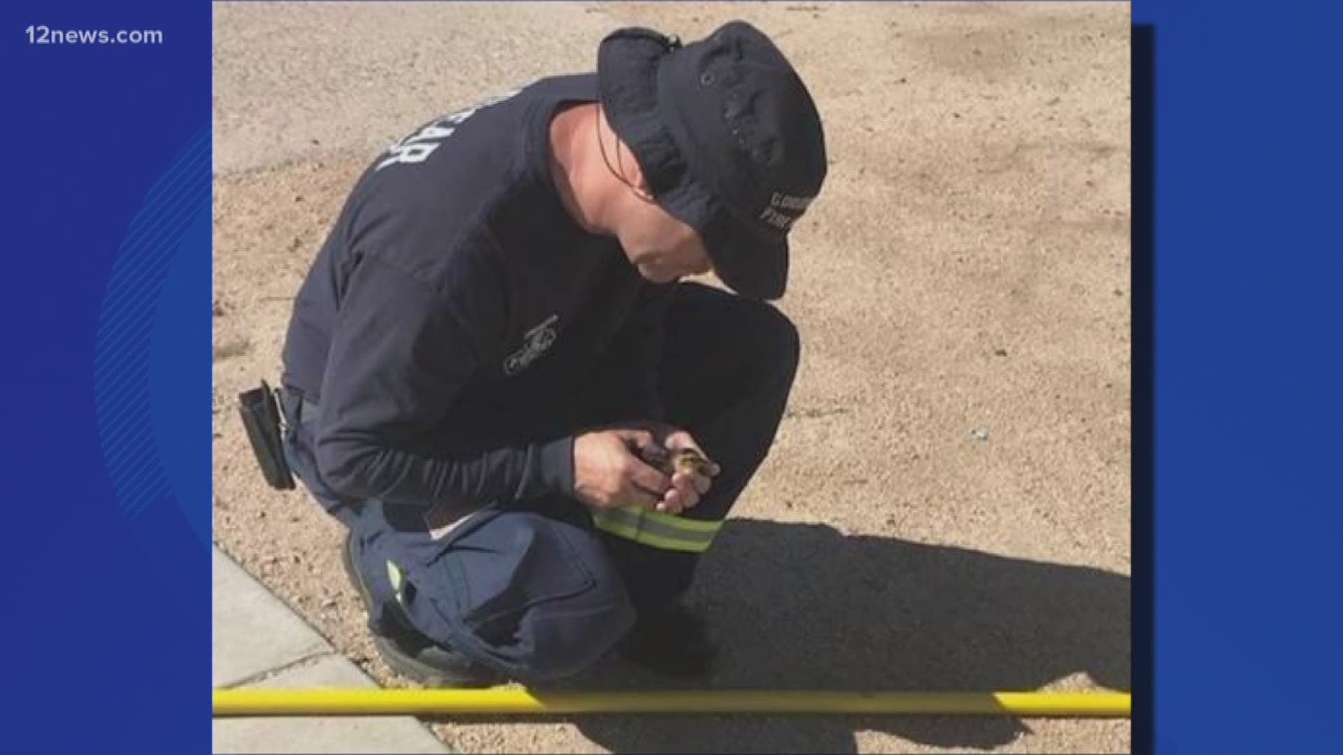 Goodyear firefighters going above and beyond to save lives. They rescued a family of ducks early Saturday morning. The duck family was trapped at a bridgehead, trying to swim against the current.