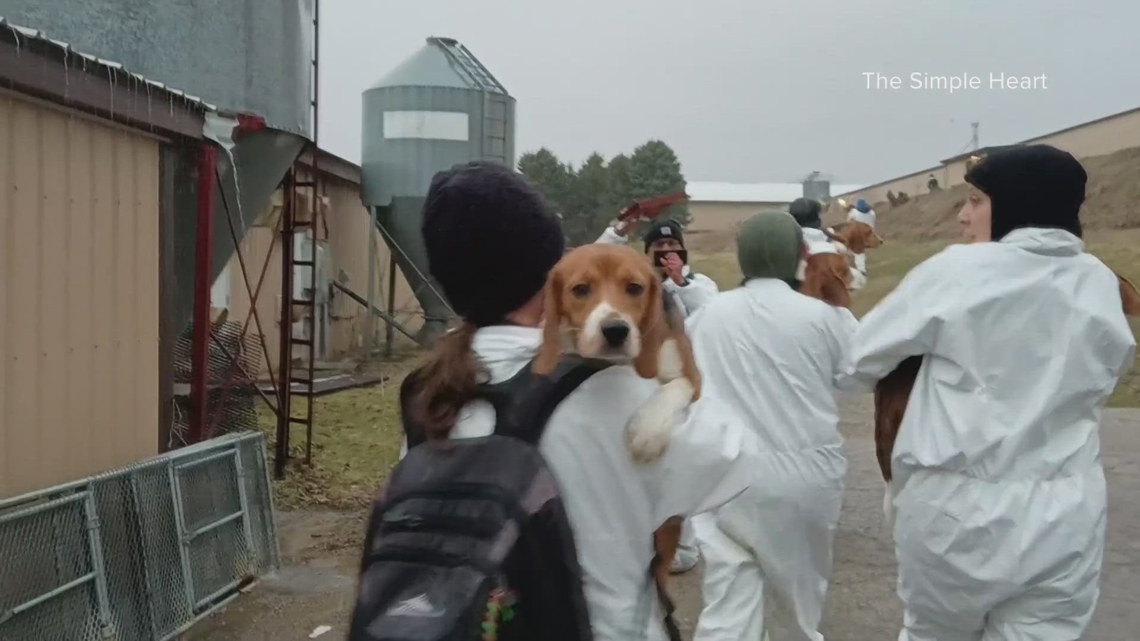 Mesa student arrested after break-in at Wisconsin dog research facility