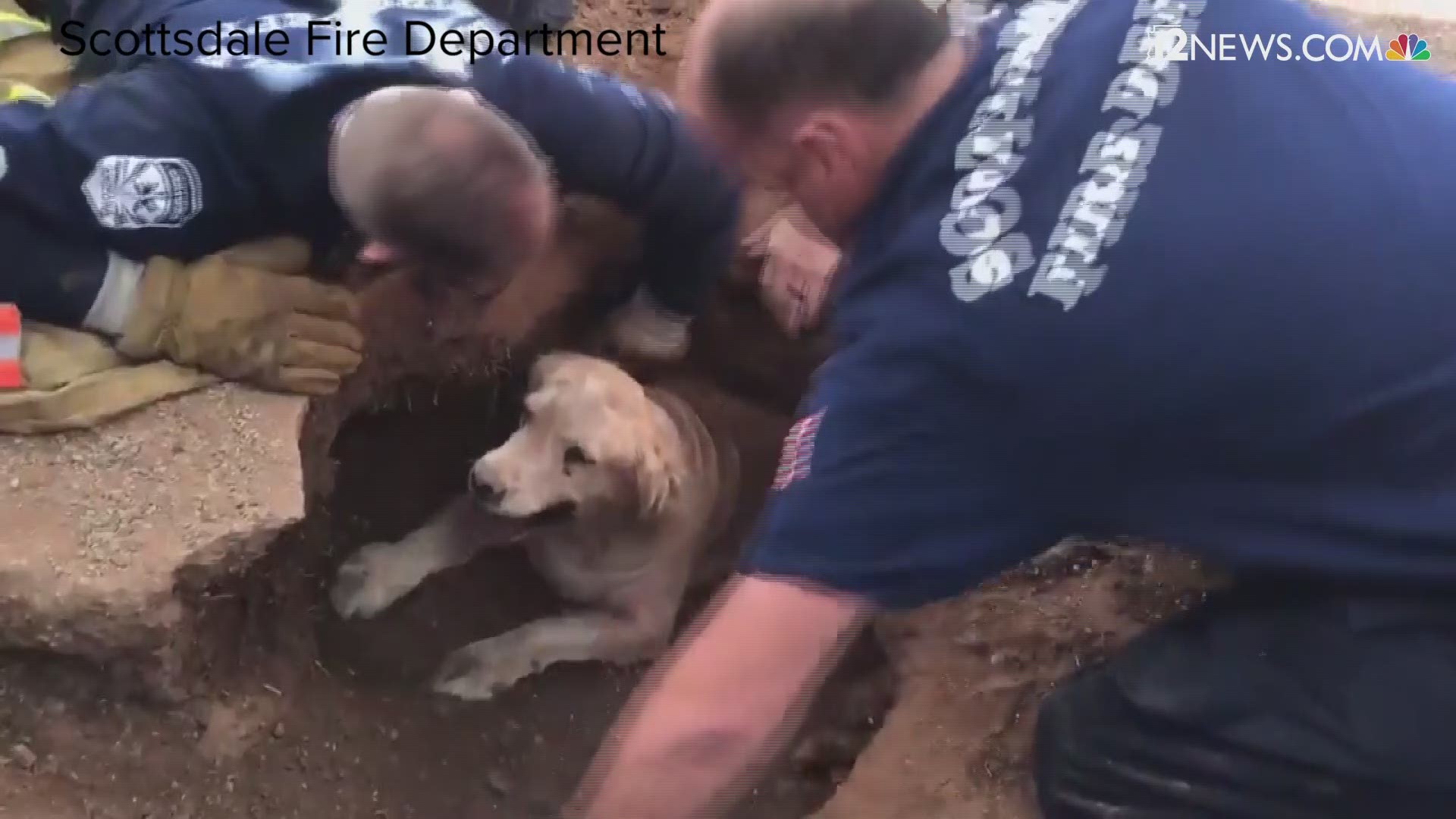 A crew from Scottsdale Fire station 15 rushed to the scene and managed to rescue Quinn after 20 minutes of digging.