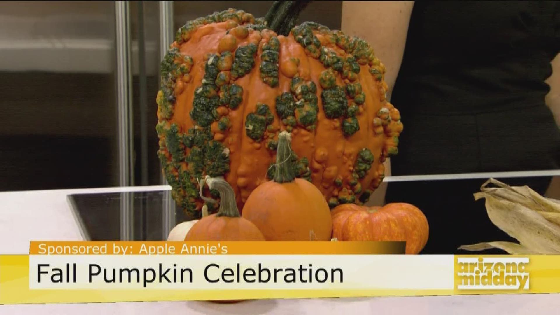 Mandy from Apple Annie's Farm talks to us about the different activities you can do with the family at the Pumpkin Celebration going on from now through October 28th!