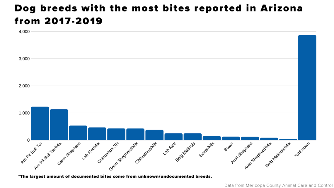 what percentage of dog attacks are by pit bulls