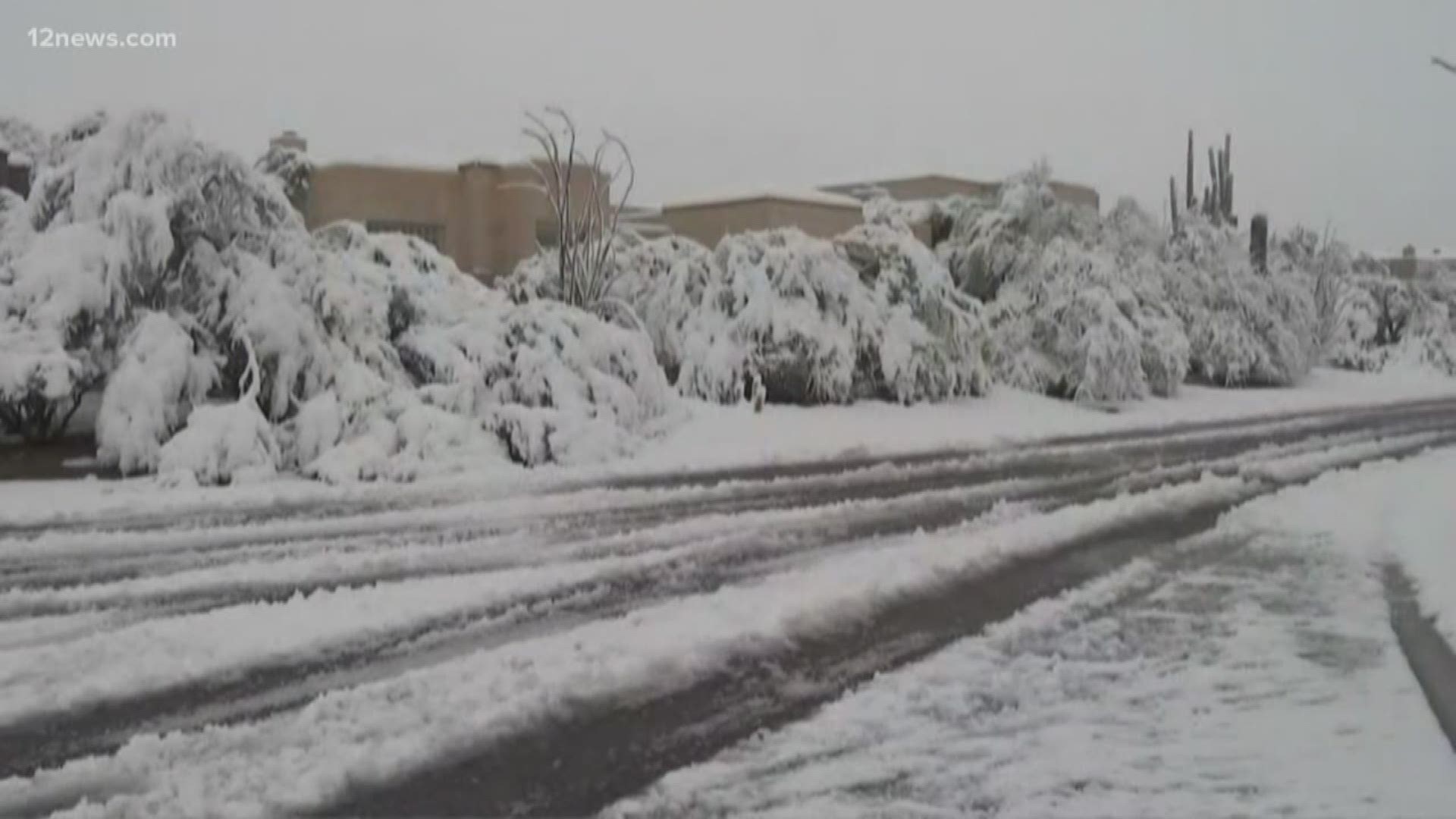 One year ago, on Feb. 21, 2019, record snowfall hit Arizona. 35.9 inches fell in Flagstaff and snow even made its way down to the Valley.