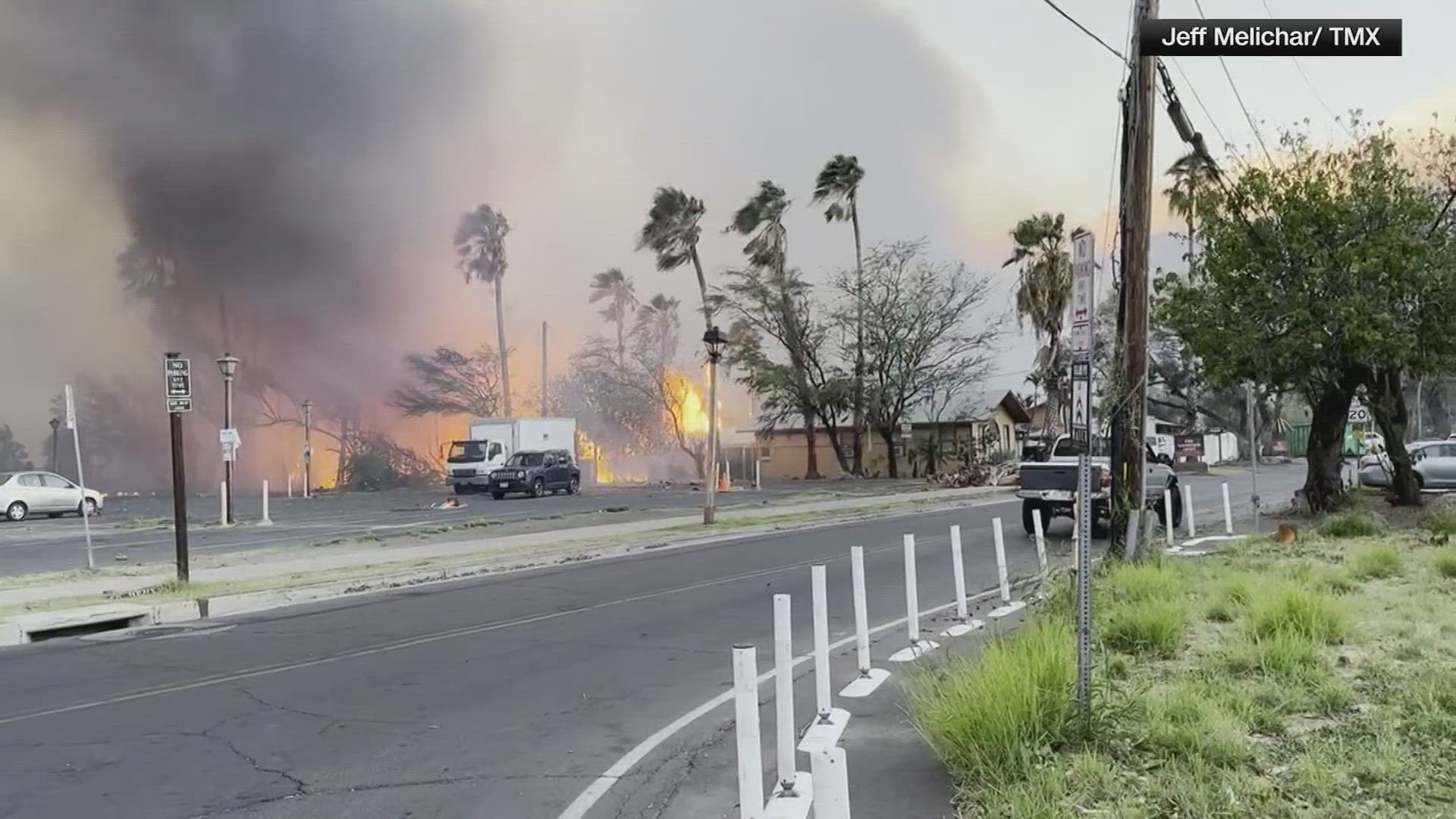 Travel agents advise customers to avoid Hawaii for the foreseeable future.