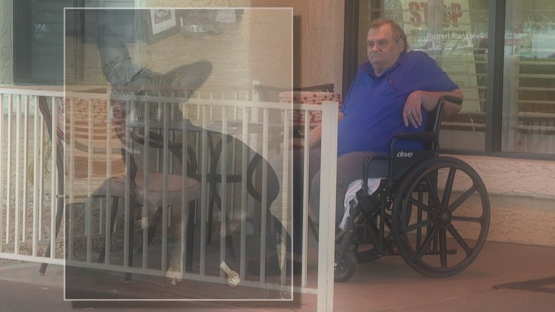 A Valley man is desperate to get his beloved service dog back after being separated from the animal during a medical emergency.