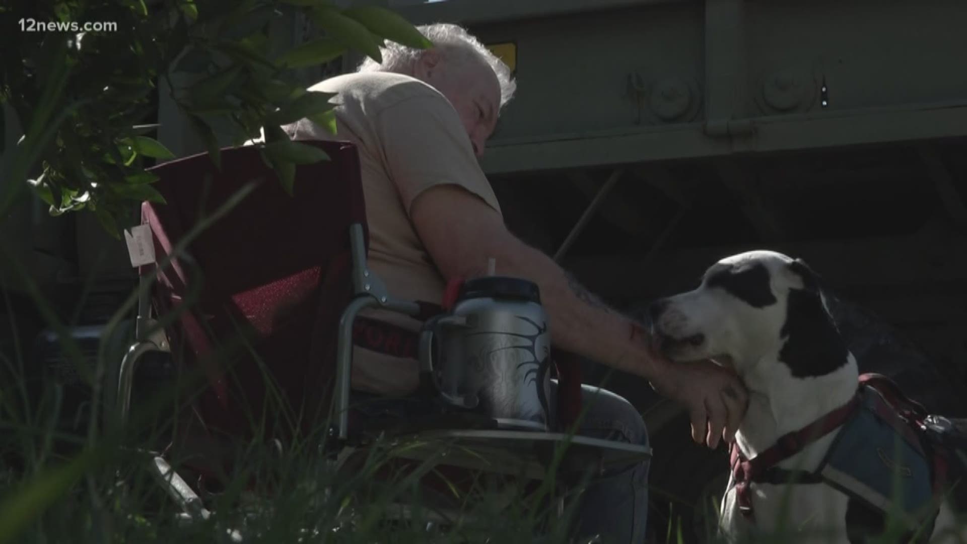 Veteran Bill Larson doesn't go anywhere without his fury friend and service dog, Whopper. But things got complicated when Larson tried to bring Whopper to O'Brien's.