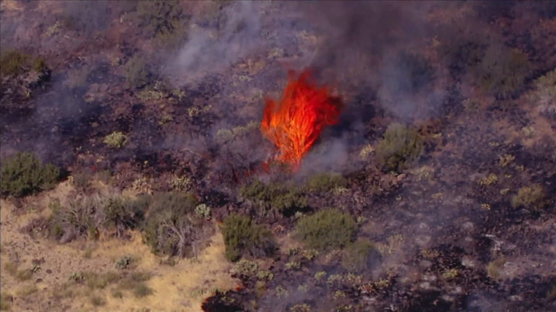 The fire is burning in the Tonto National Forest.