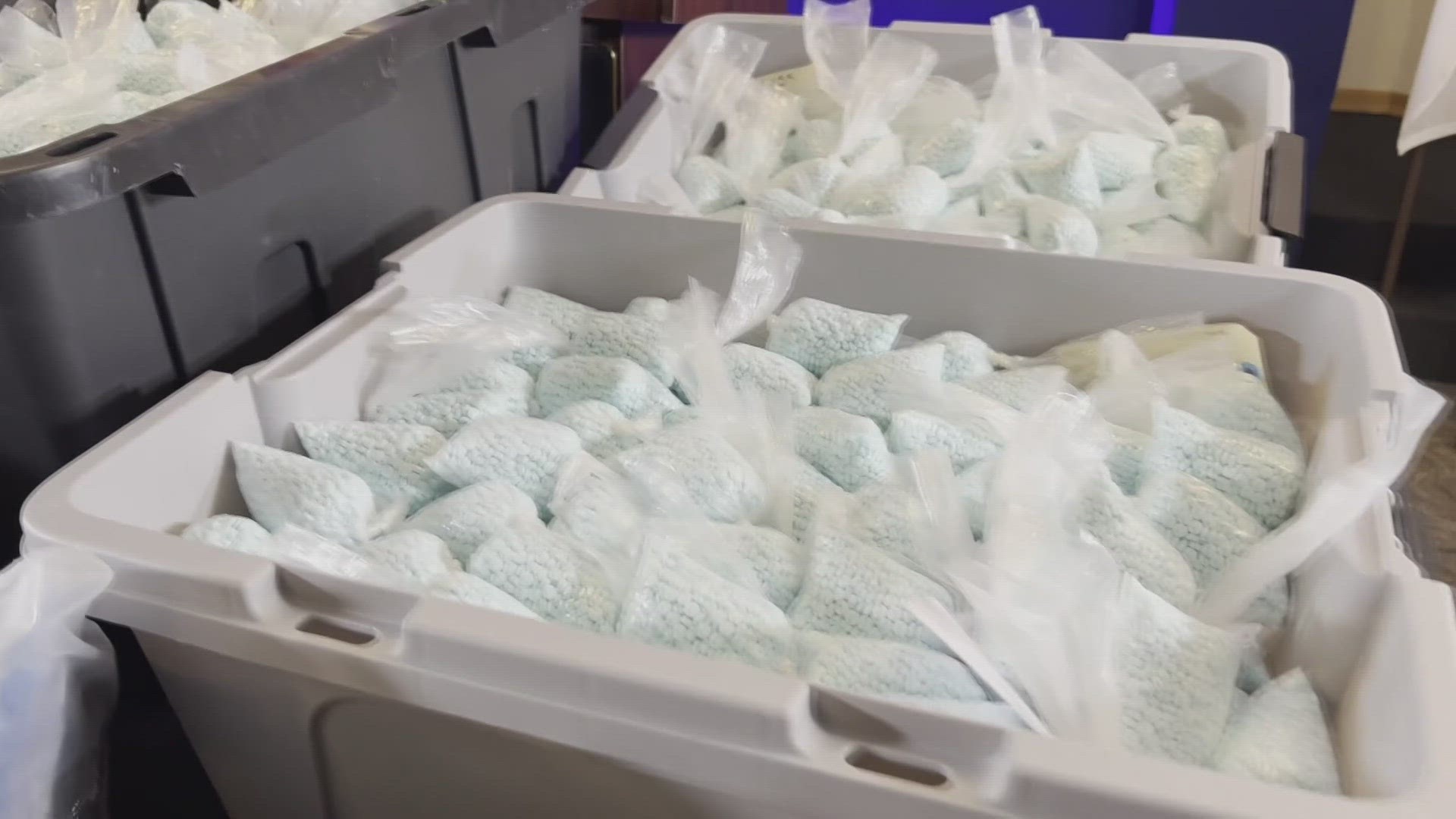 More than half of the fentanyl seized in the U.S. is found in Arizona, according to the DEA.