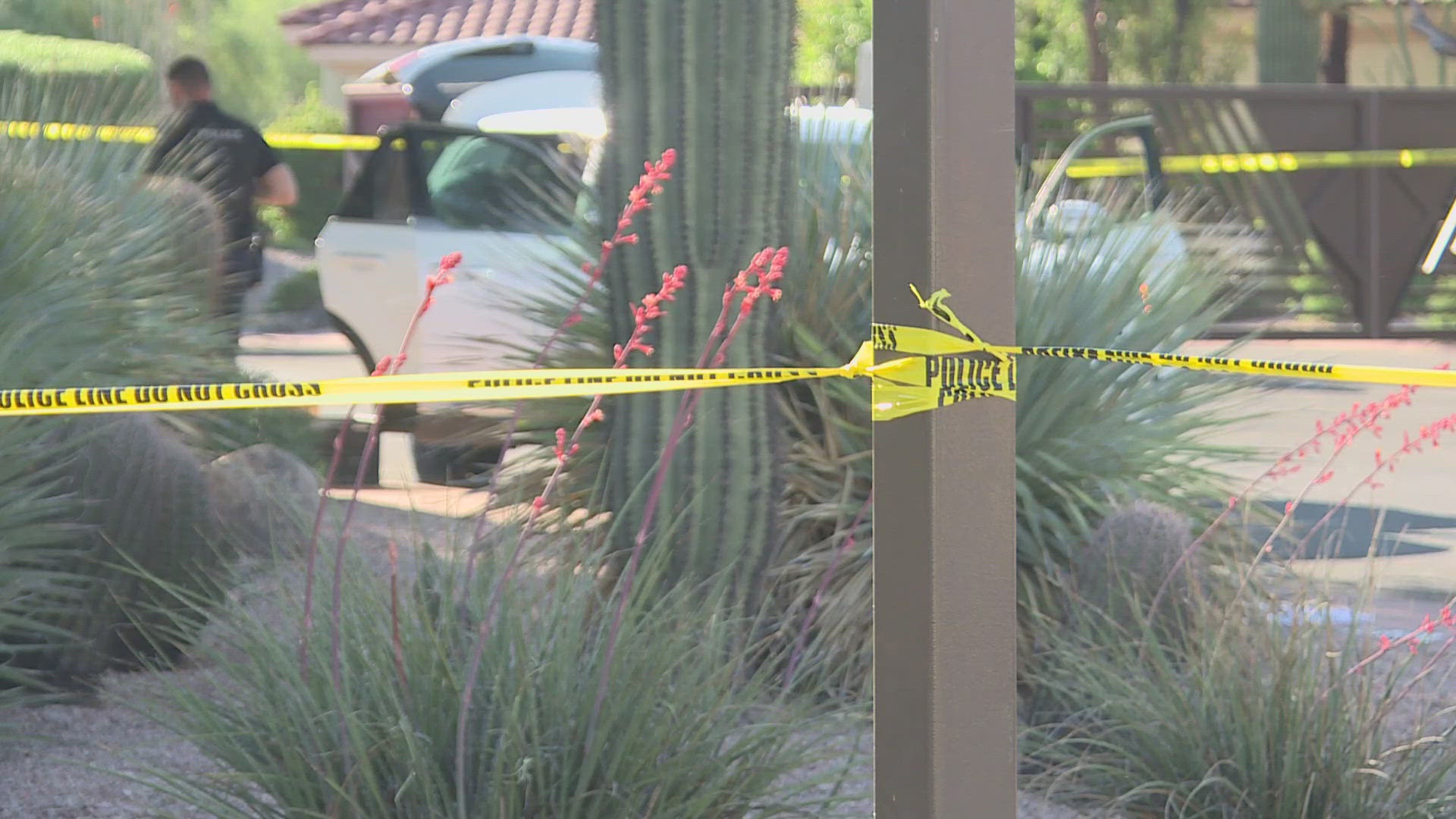 Man found dead in Mesa, police investigating