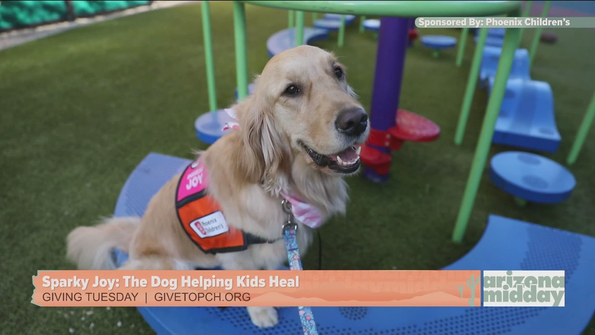 P. Phoenix（pup） Sponsored: How Sparky Joy and Animal-Assisted Therapy Support