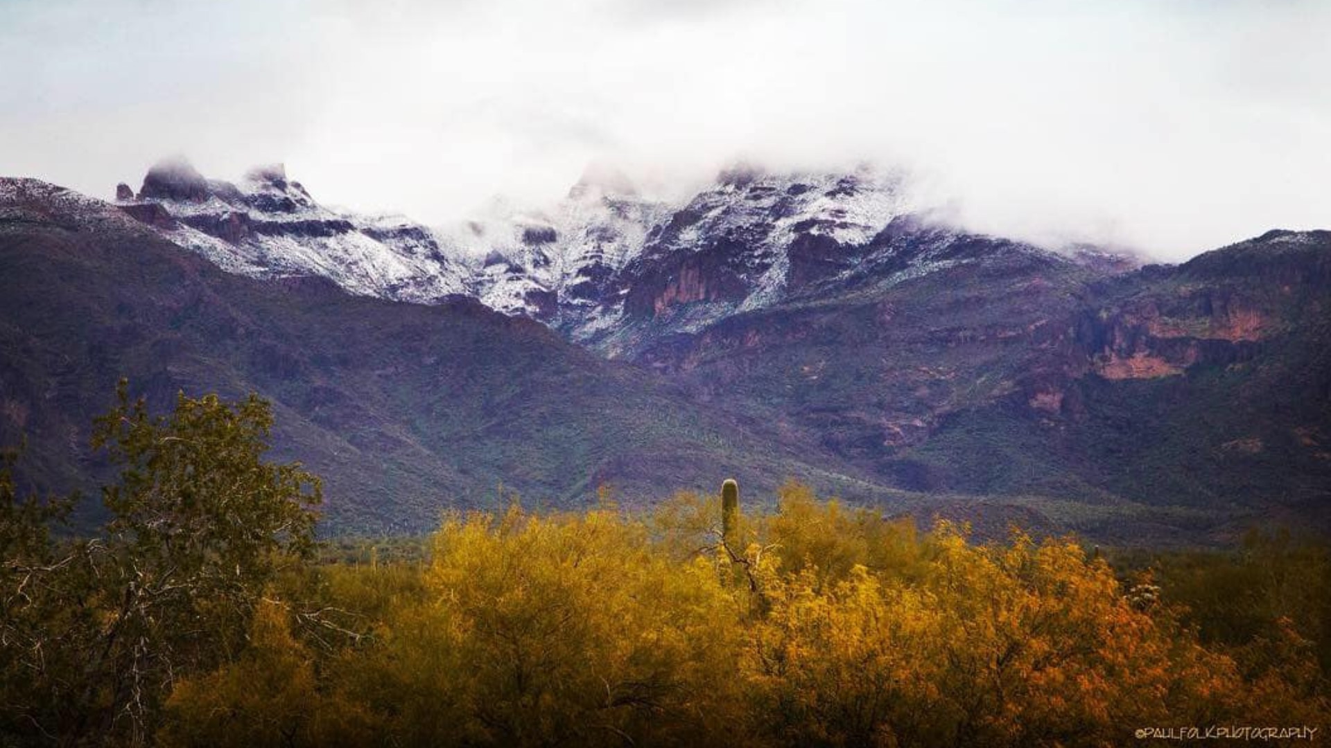 Updated list Cancellations, school closures due to the Arizona winter