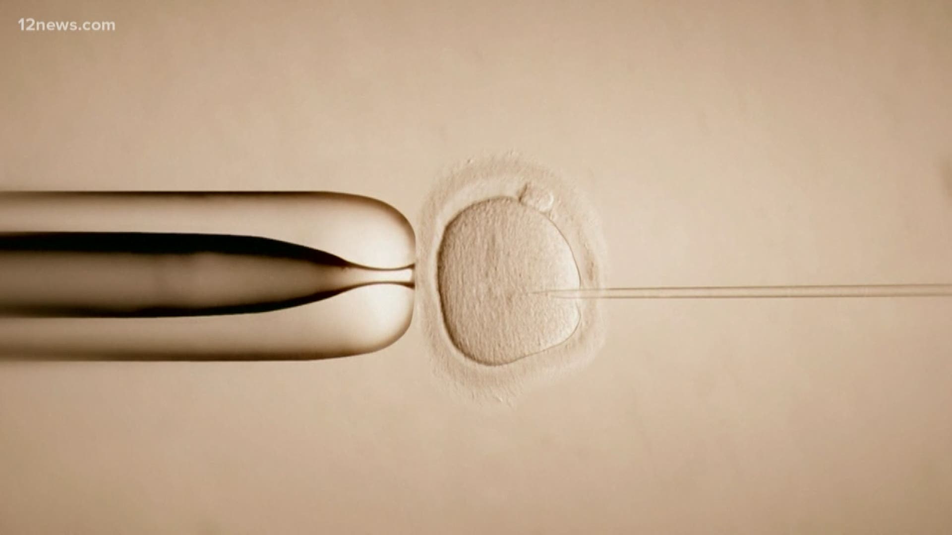 The Arizona Court of Appeals has ruled in a first-of-its-kind case that a woman could implant the embryos she created with her now-ex-husband.