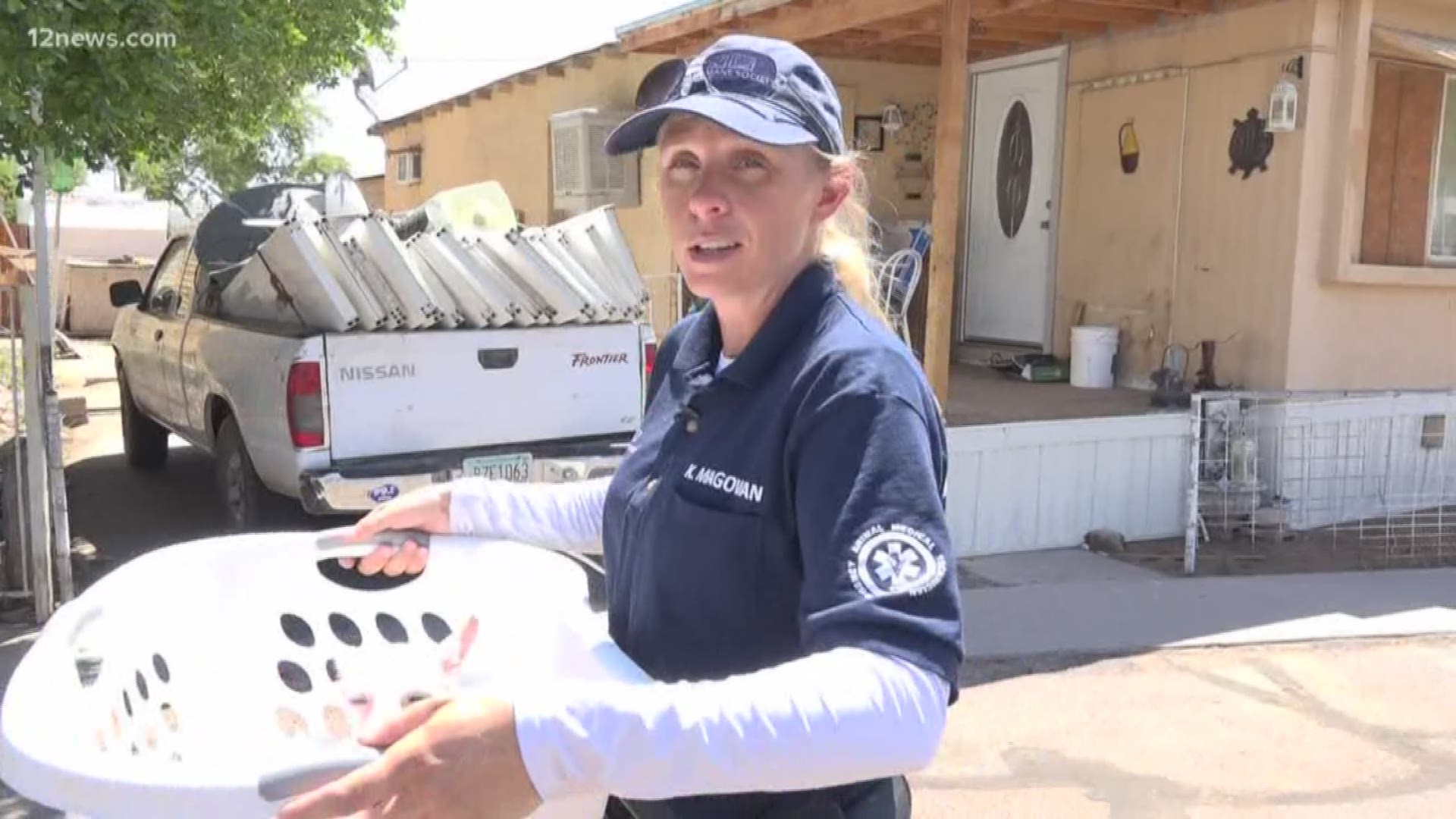 EMTs work to help animals who are suffering from heat issues or kept in potentially dangerous situations.