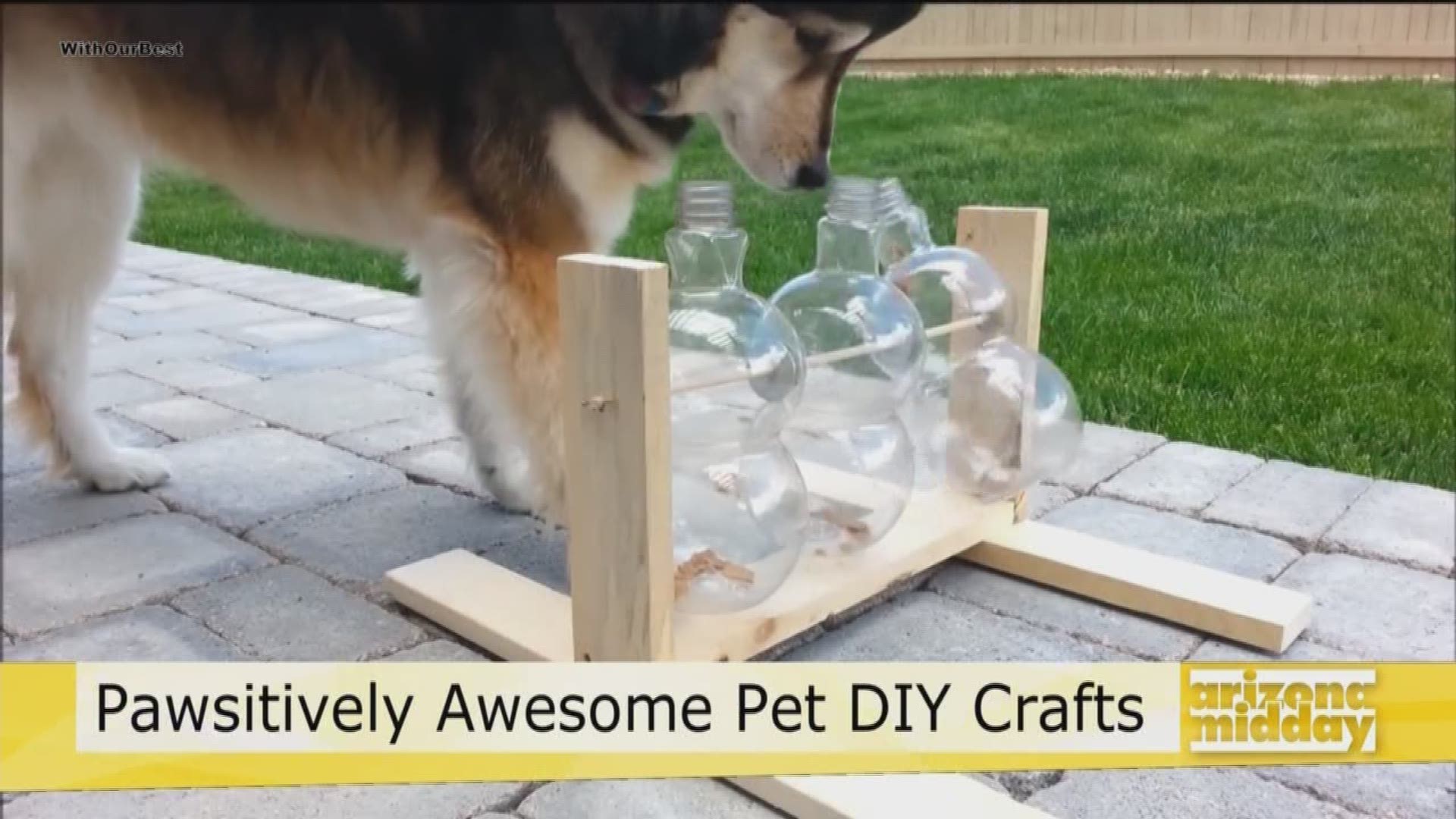Treat your pet to some fun with these homemade toys purrfect for your furry pals.