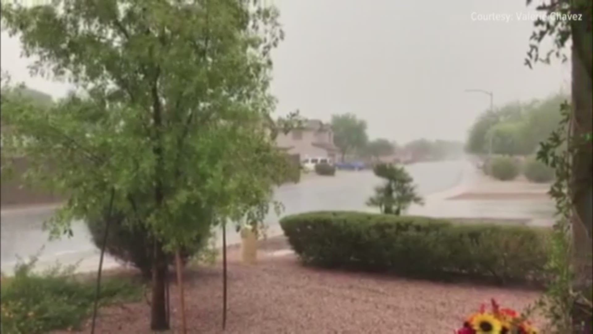 The rain is coming down in Casa Grande this afternoon. Video: Valerie Chavez