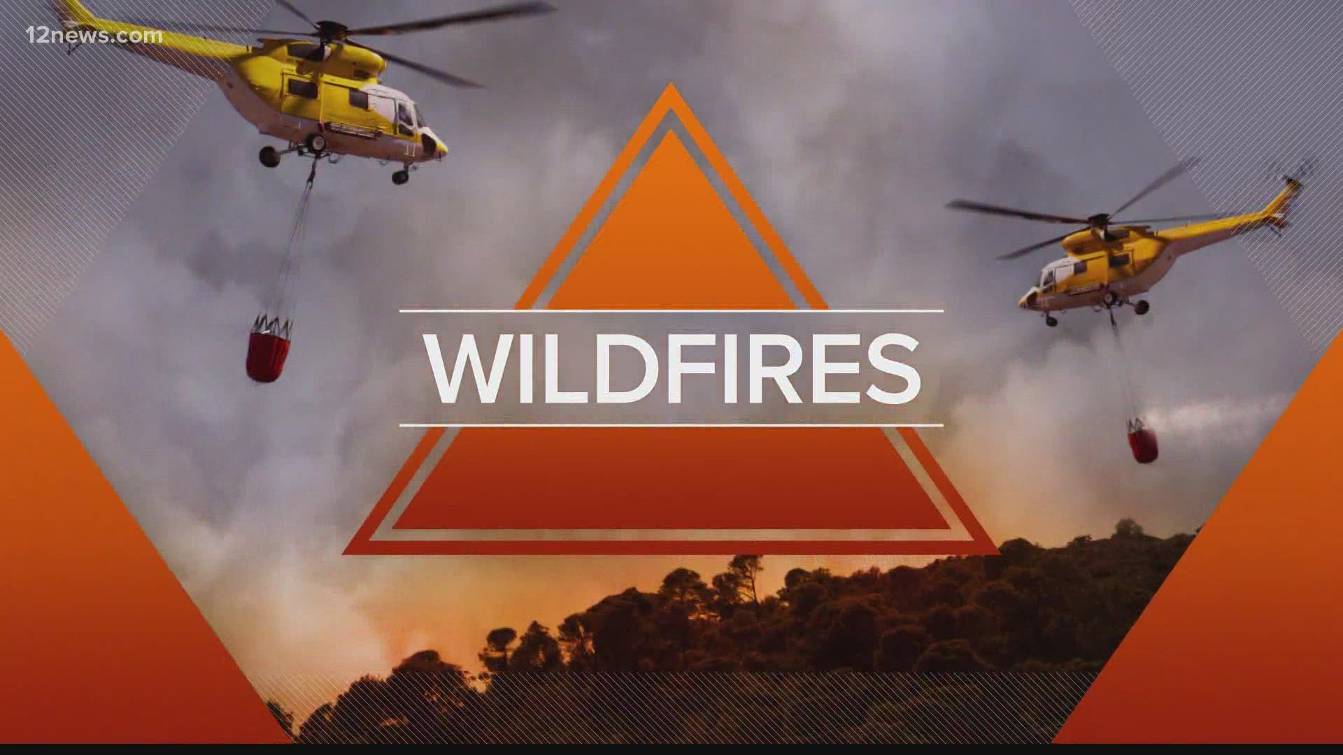 The Telegraph Fire and the Mescal Fire have burned more than 60,000 acres combined in the Tonto National Forest. Multiple communities are gearing up to evacuate.
