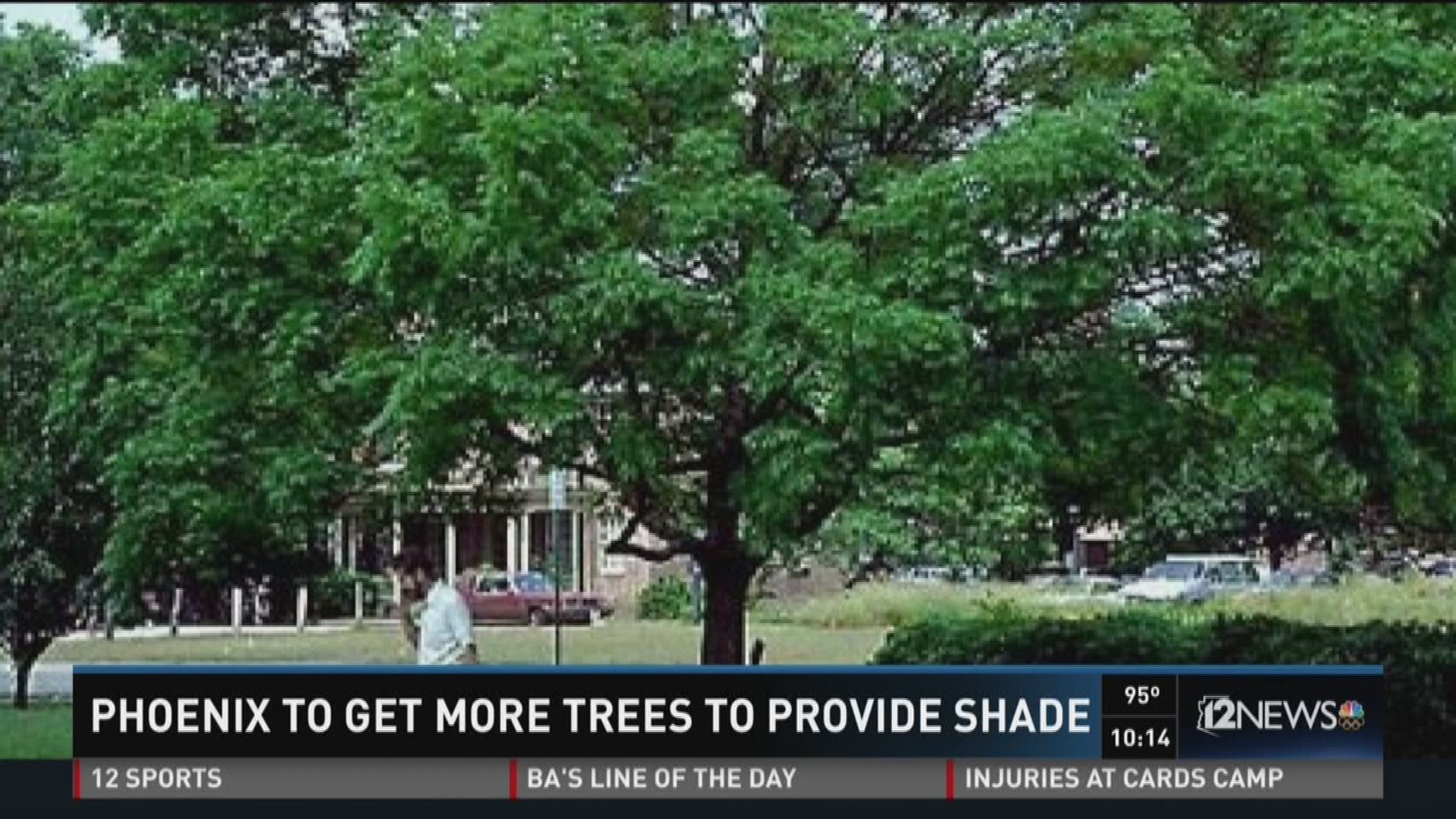 Phoenix to get more trees to provide shade
