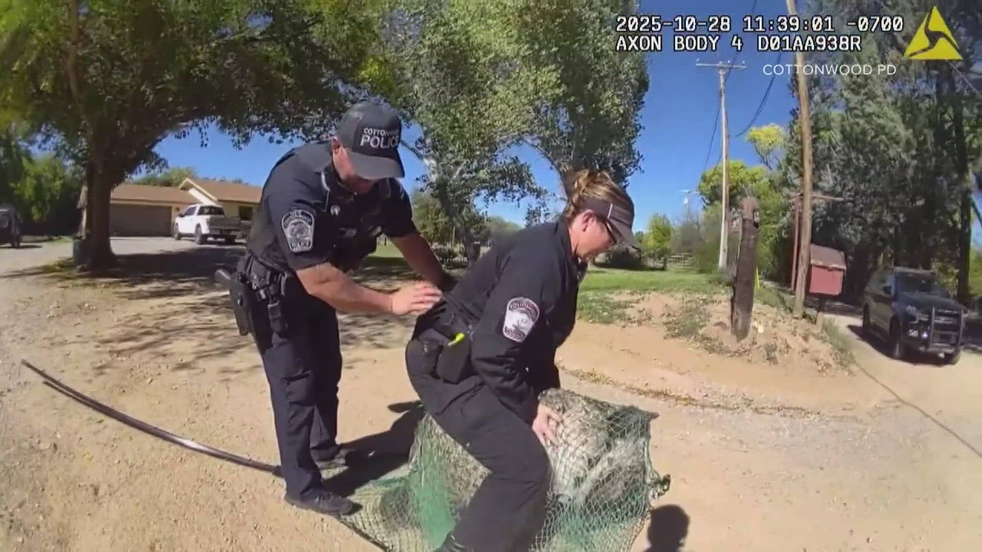 Cottonwood Police said the flightless bird named Frank had been on the run for two days before getting caught.