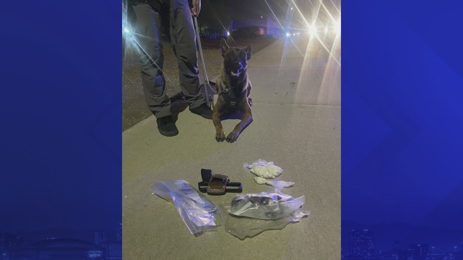 Arizona K9 sniffs out nearly 2 lbs. of drugs during traffic stop ...