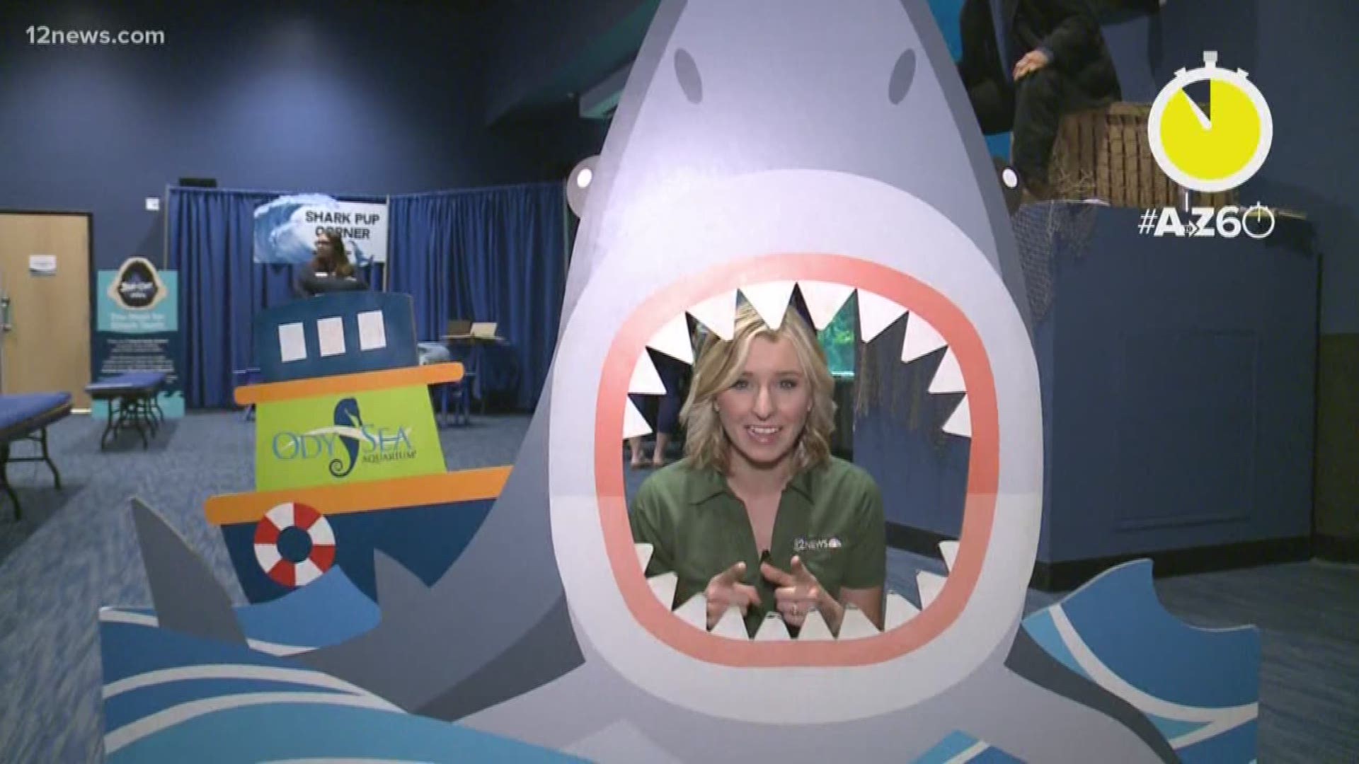 Colleen Sikora shows us all the things you can see during "Jaw-some July" at OdySea Aquarium.