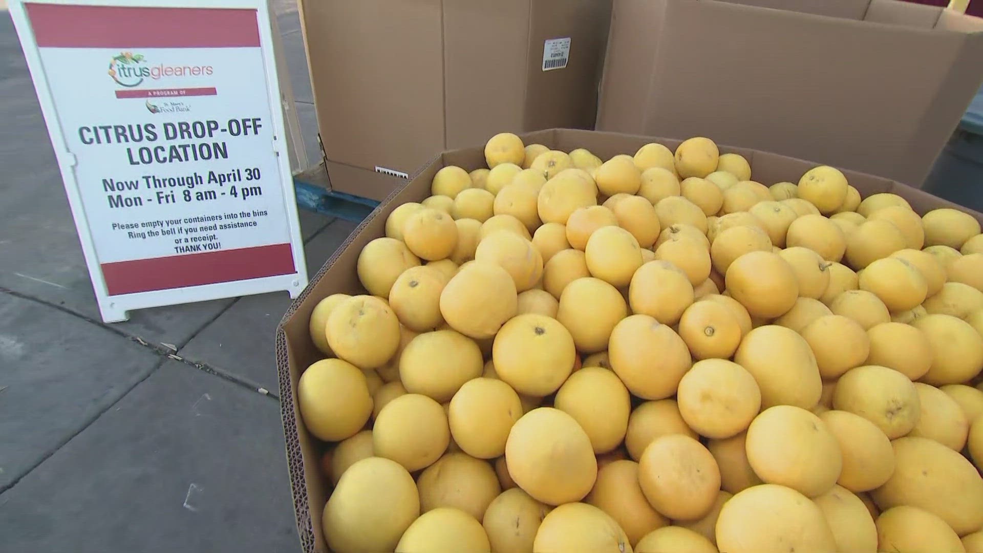 St. Mary's has begun accepting citrus donations all around the Valley.