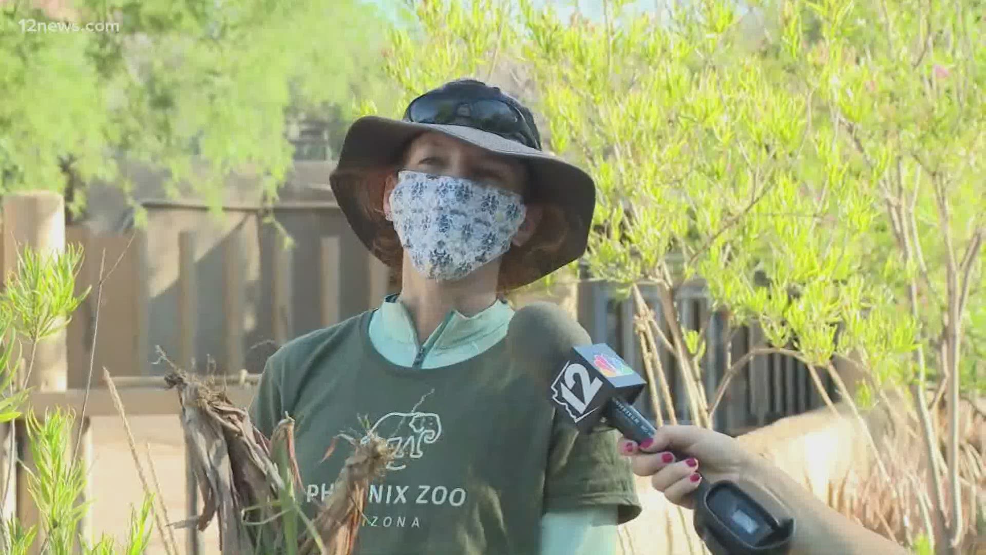 This week is National Zookeeper Week and we stopped by the Phoenix Zoo to learn more about these awesome men and women. Erica Stapleton has more.