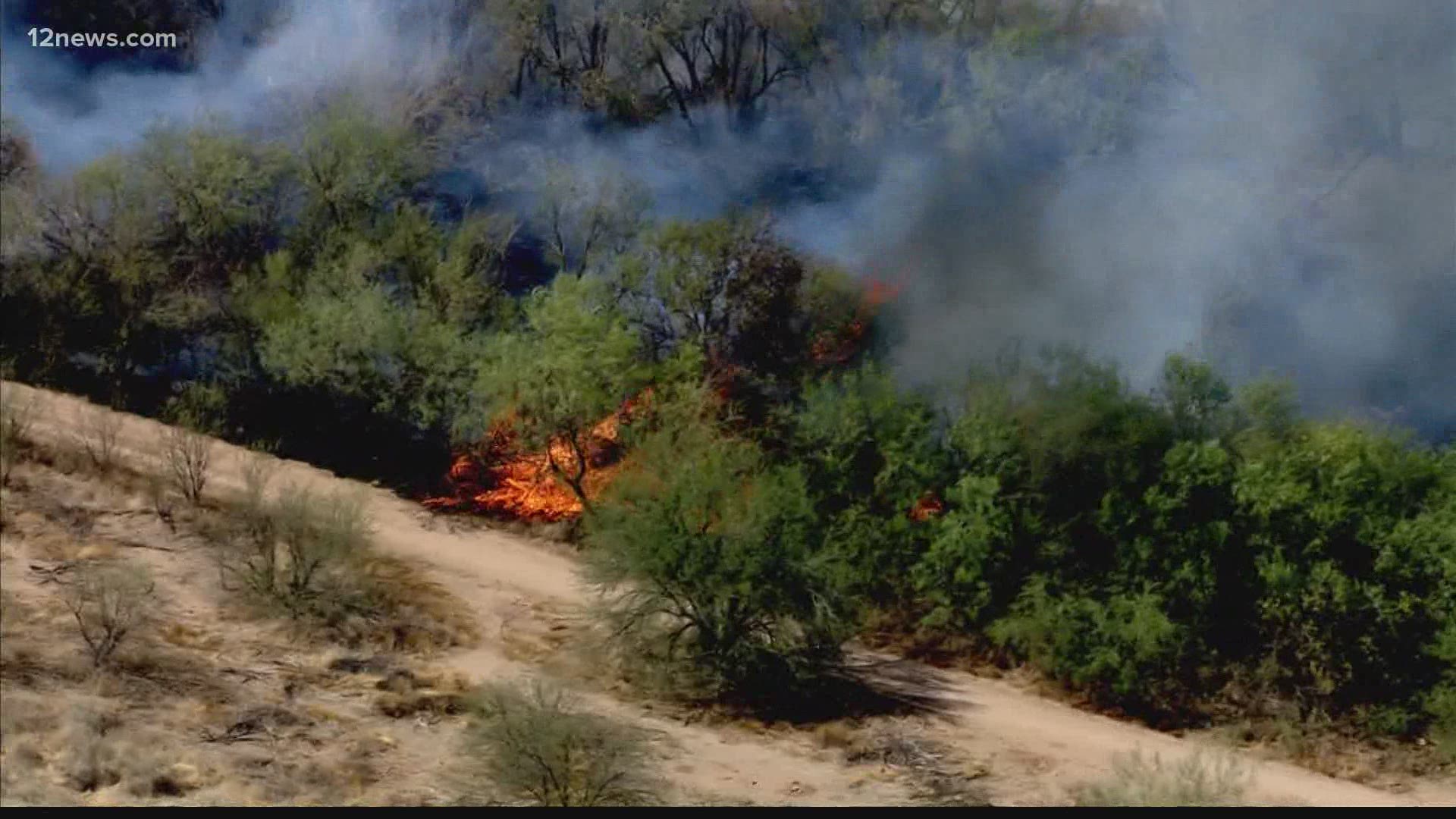 Fire crews from multiple jurisdictions are battling a brush fire that began Friday afternoon near Loop 101 and State Route 51. Approximately 40 acres have burned.