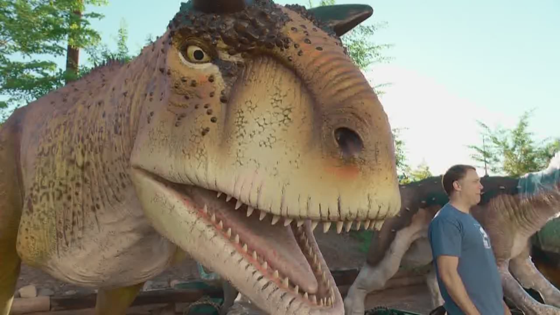 Dinosaur exhibit coming to the Phoenix Zoo