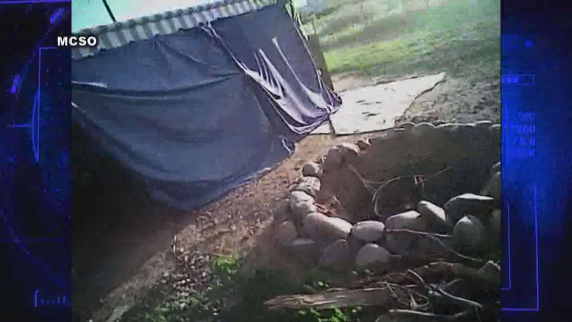 New body cam video shows an MCSO deputy shoot a pit bull in Wittmann.