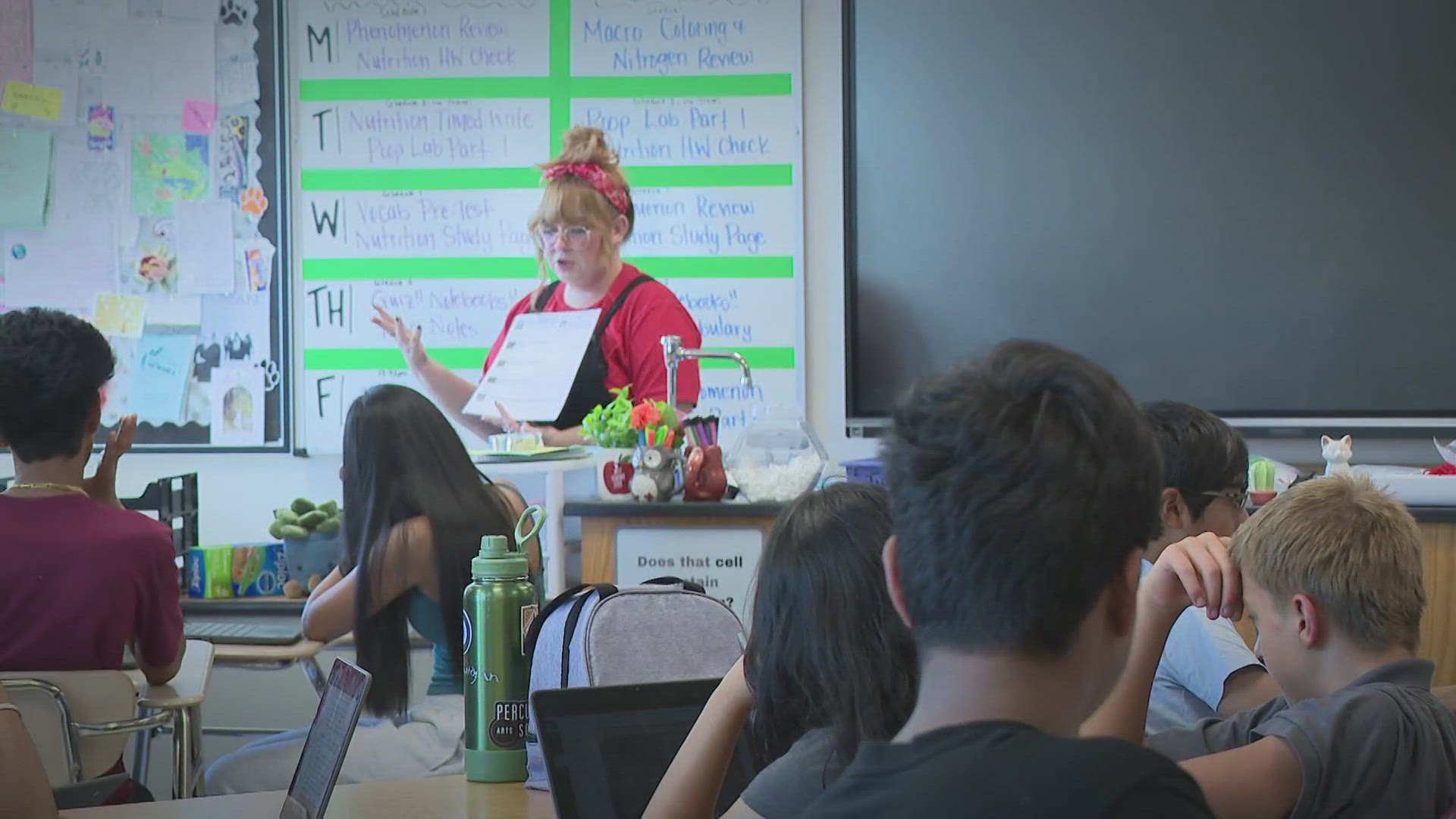 While public school teachers use their own money or rely on wish lists for basic supplies, ESA parents are buying luxury items with state tax dollars. 
