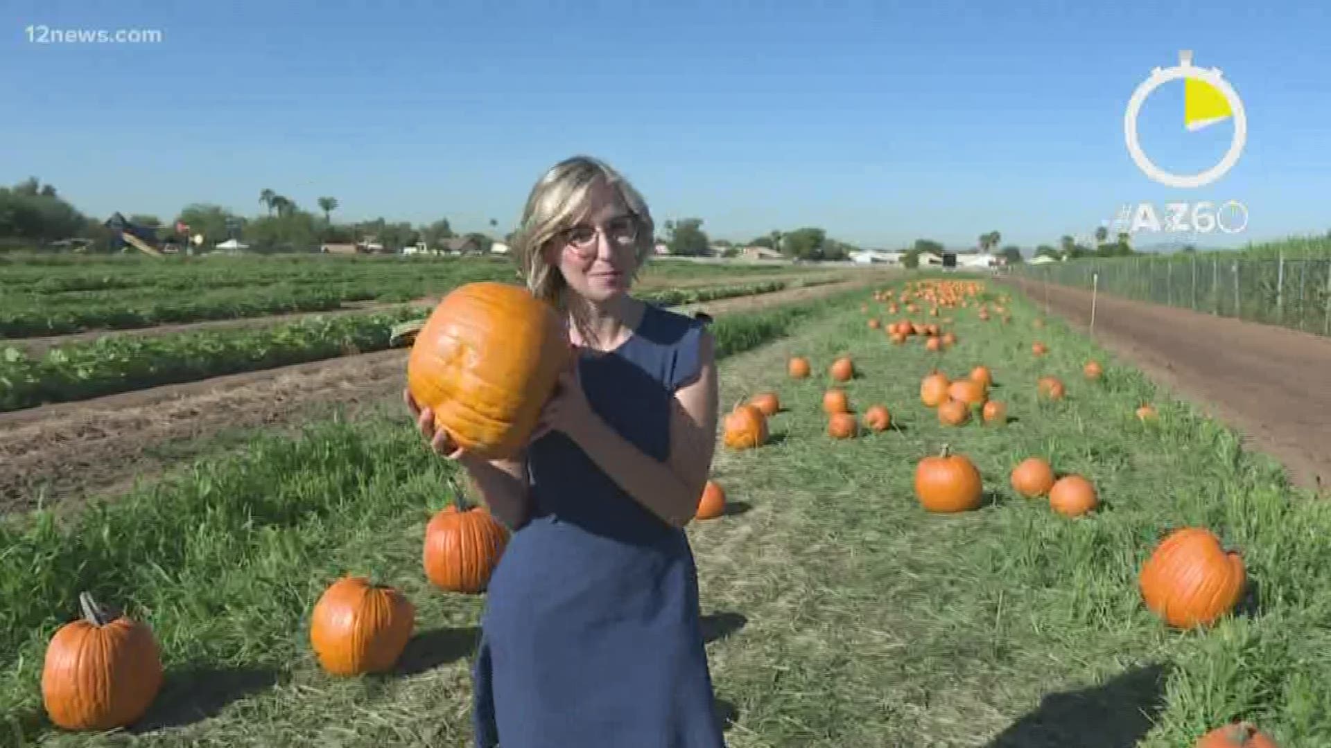 There are plenty of ways to get in the autumn spirit at Tolmachoff Farms. Colleen Sikora has the story.