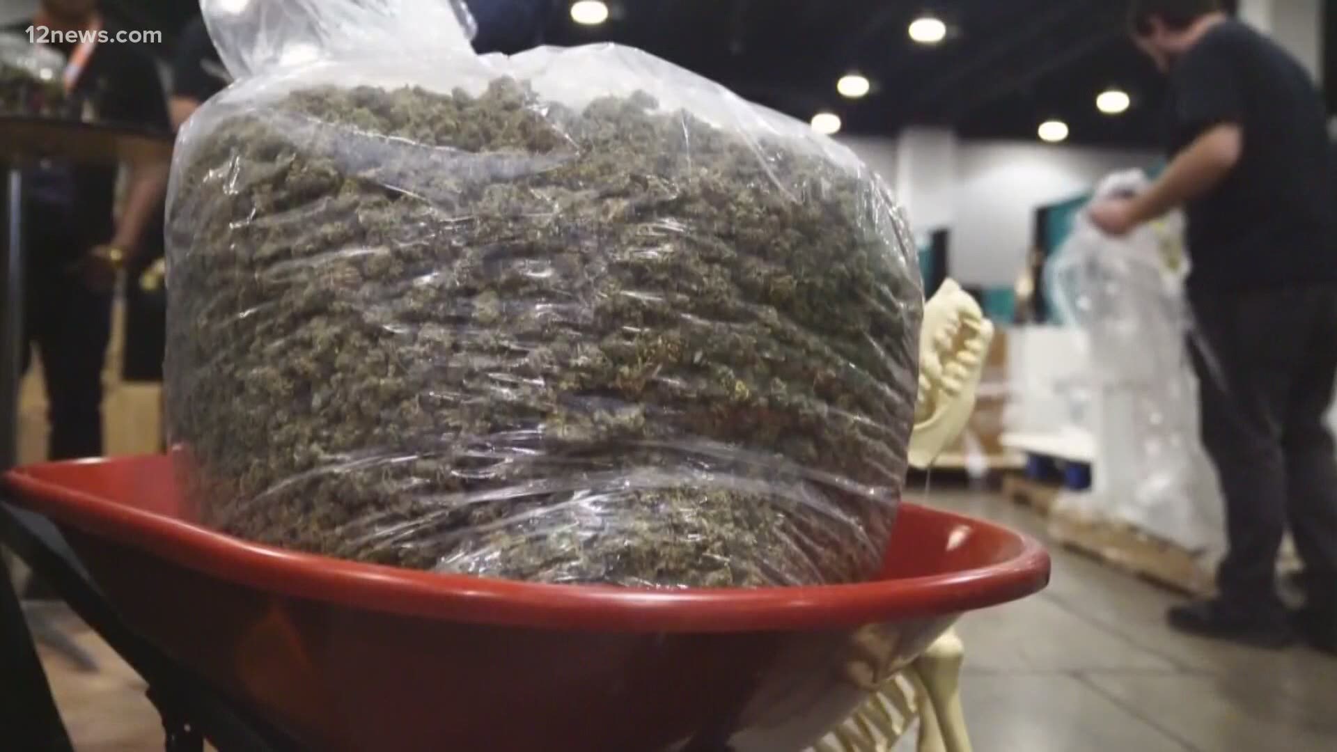 Many shops are hopeful Friday is the day that the state gives them the green thumbs up to sell recreational marijuana for the first time in Arizona's history.