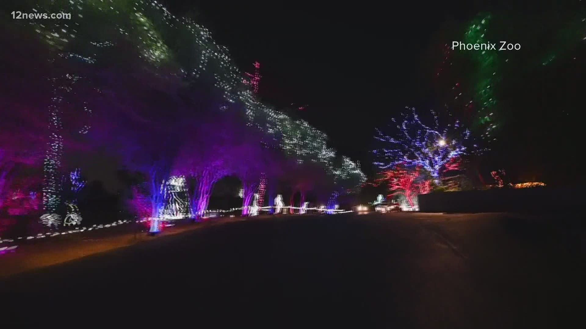 Phoenix Zoo will hold its famed Zoo Lights as a drive-thru event this holiday season. Team 12's Jen Wahl has the latest.
