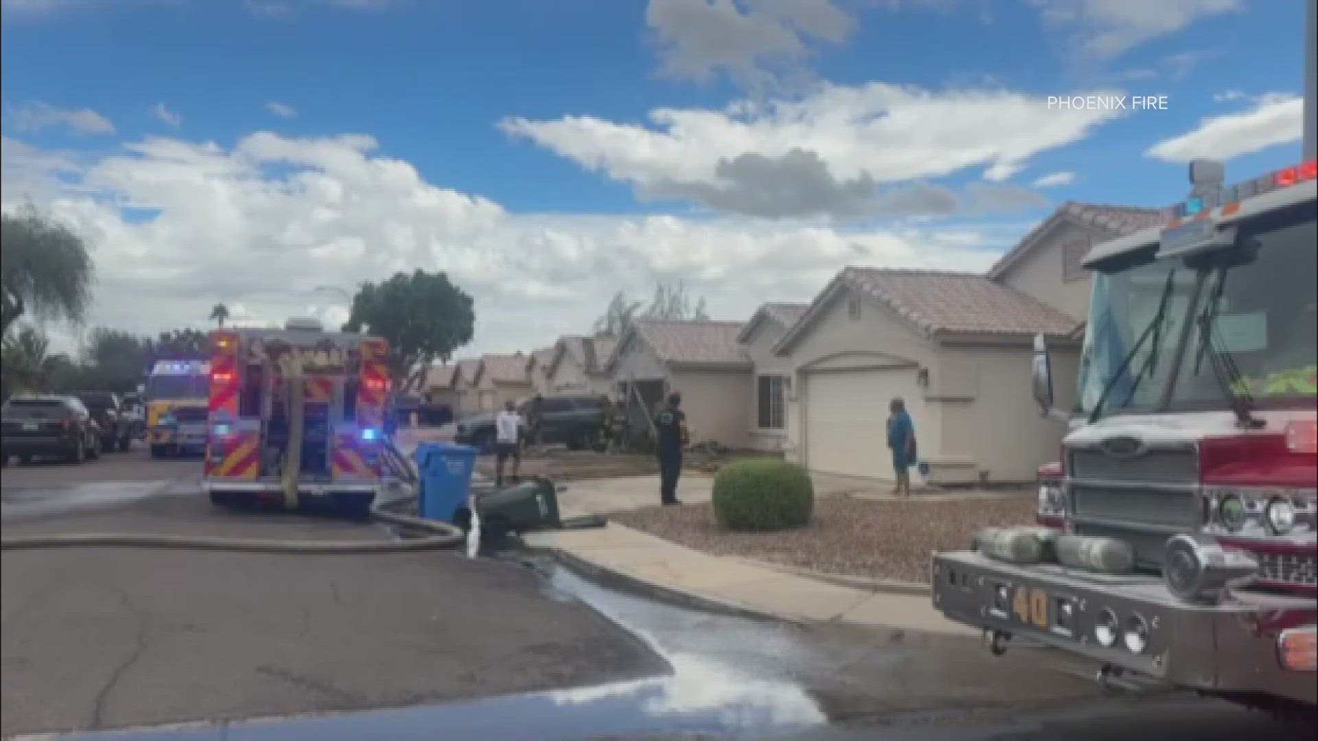 Two dogs died in a Phoenix house fire on Tuesday, officials said. 