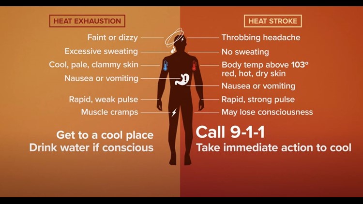 The Pacific Northwest is seeing record-breaking extreme heat; Phoenix has some 'cool' advice