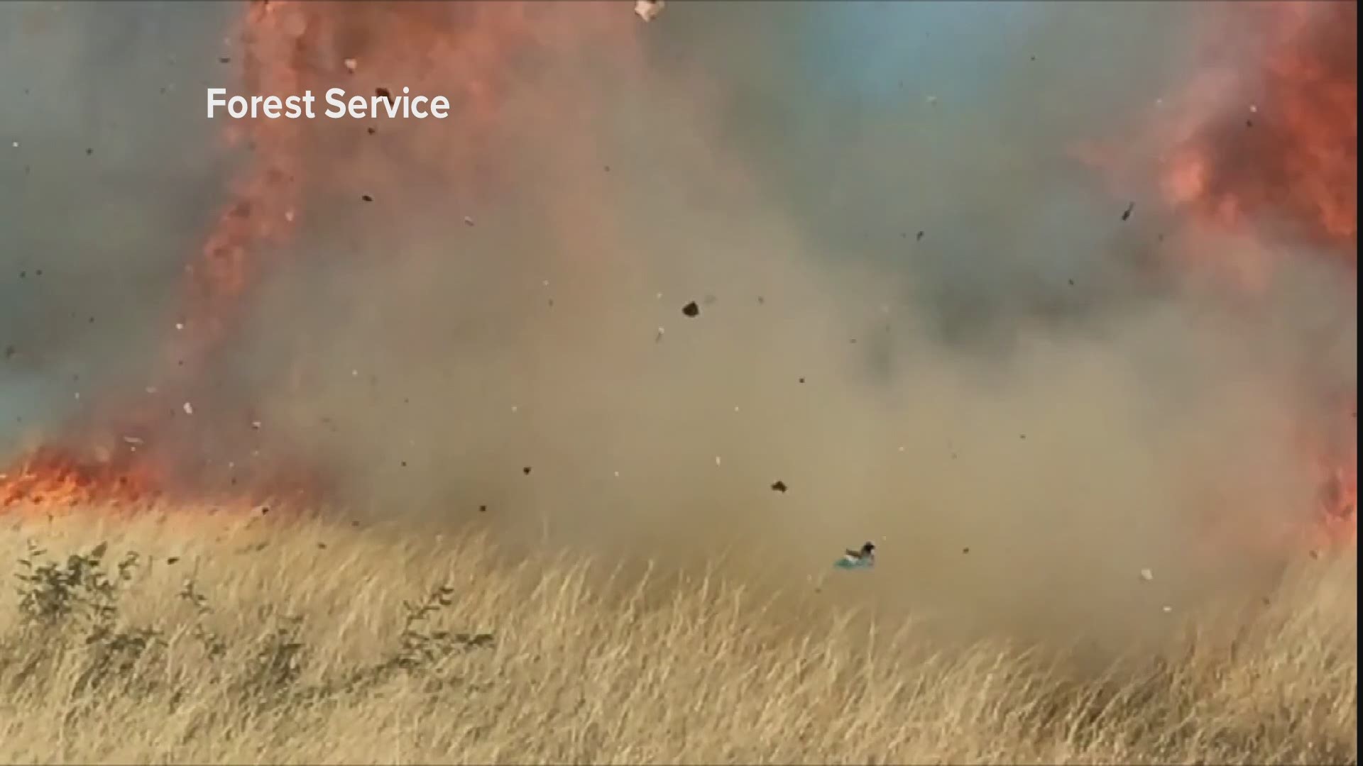 The US Forest Service has released a video showing a gender reveal party is to blame for sparking the Sawmill Fire in Southern Arizona in 2017. The fire torched 46,000 acres southeast of Tucson last spring.