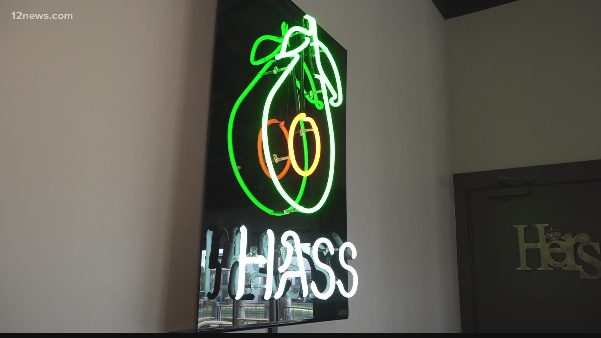 The great-grandson of the first grower of Hass avocados is honoring the trailblazer with a new brewery in Chandler.