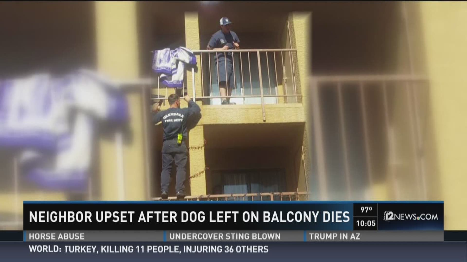 Neighbor upset after dog left on balcony dies.