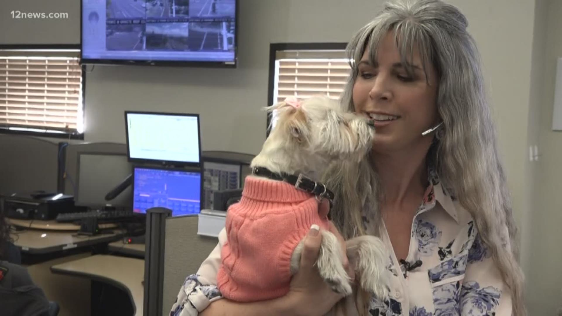 911 dispatchers are often dealing with high-stress situations. At the Scottsdale Emergency Dispatch Center, they found someone to help cope with that stress.