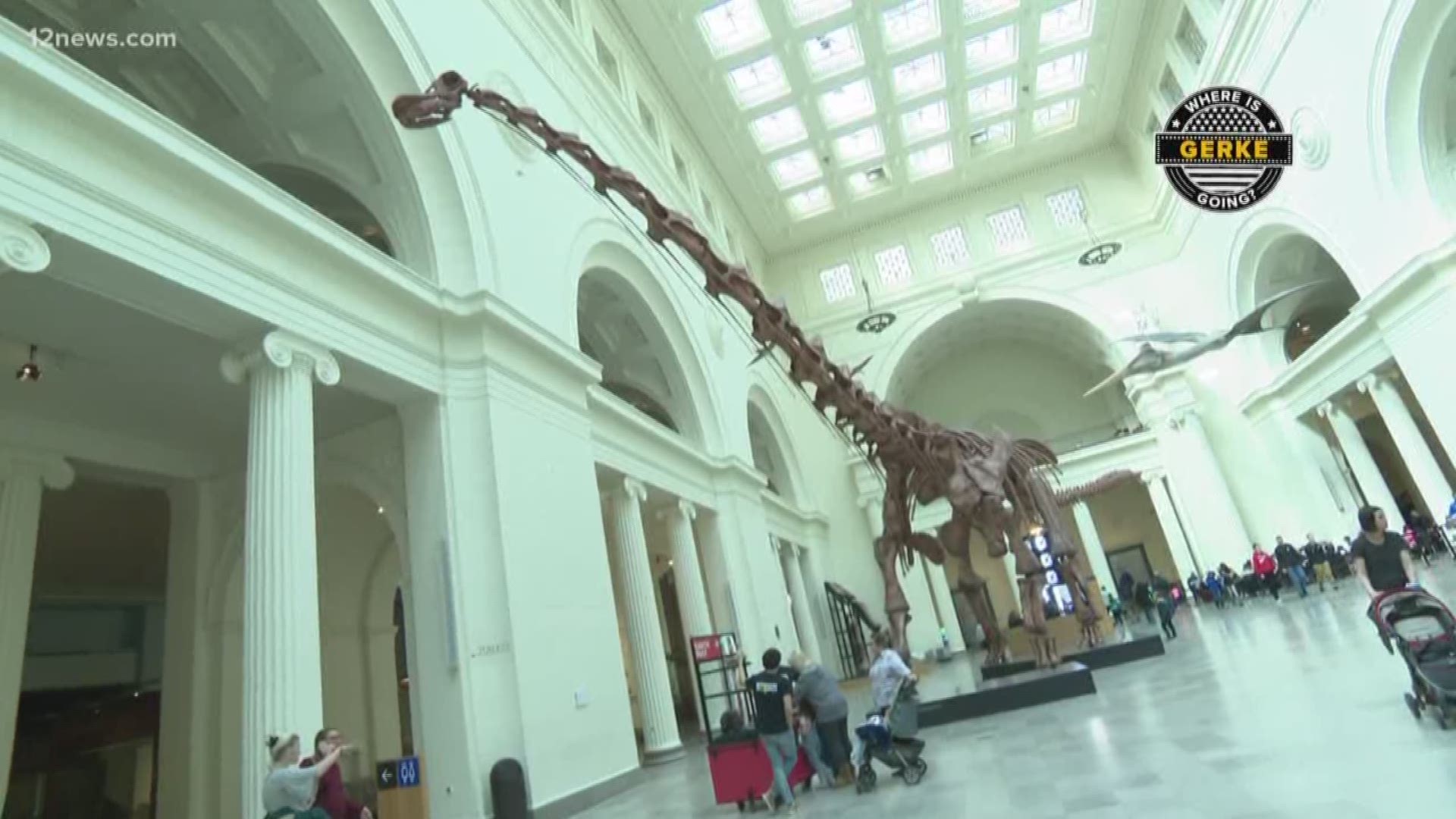 The Field Museum of Natural History is one of the largest museums in the world and boasts one of the most impressive collections of dinosaur fossils. Among them: “Sue,” the largest, most complete Tyrannosaurus Rex skeleton in the world.