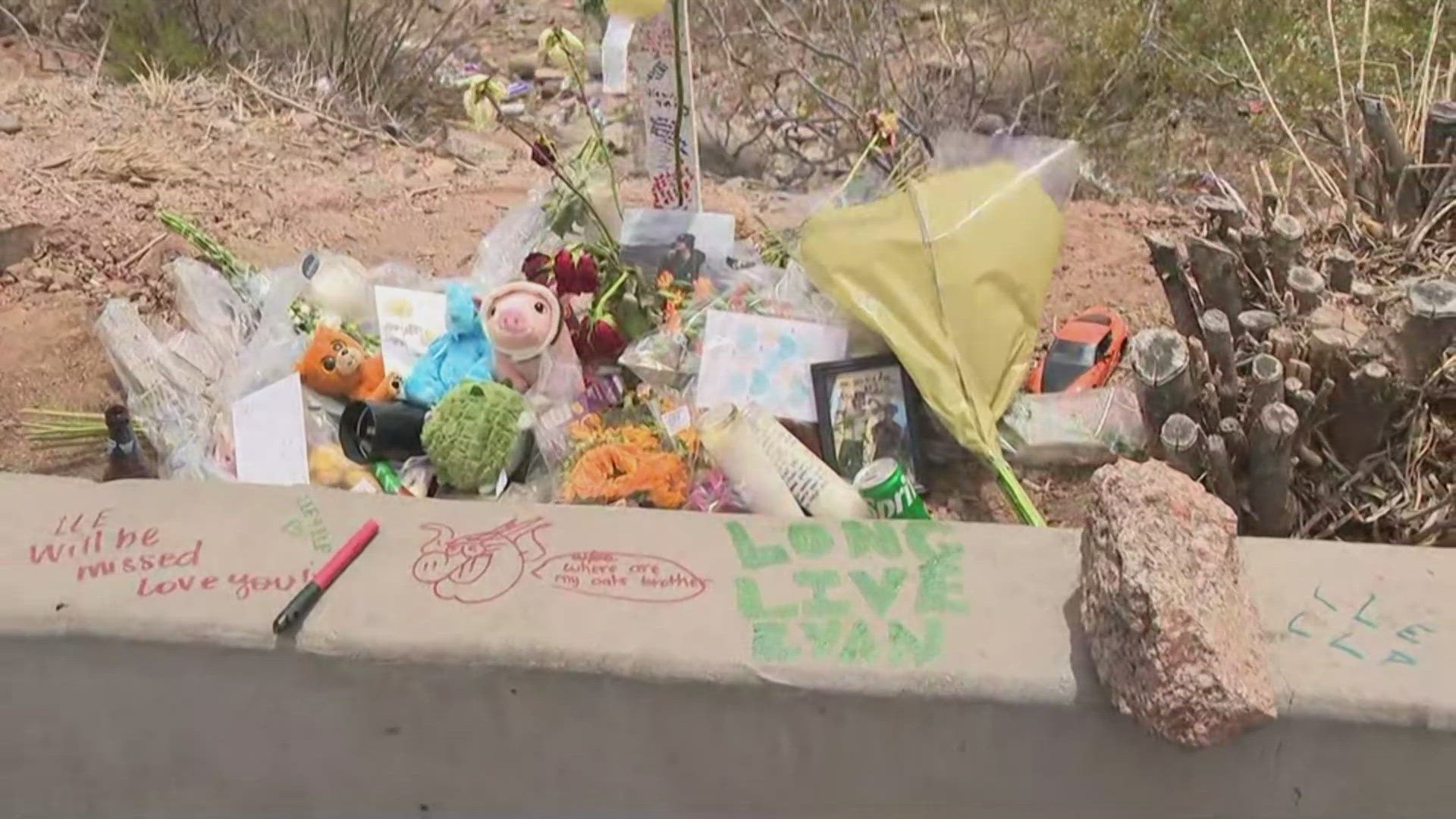2 Arcadia High School students found dead near SR87 between Mesa and