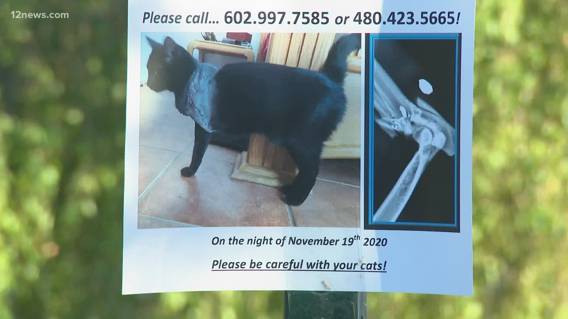 Spooky's owner put up fliers around the neighborhood near 71st Street and Thomas Road, hoping someone has information about the person that did it.