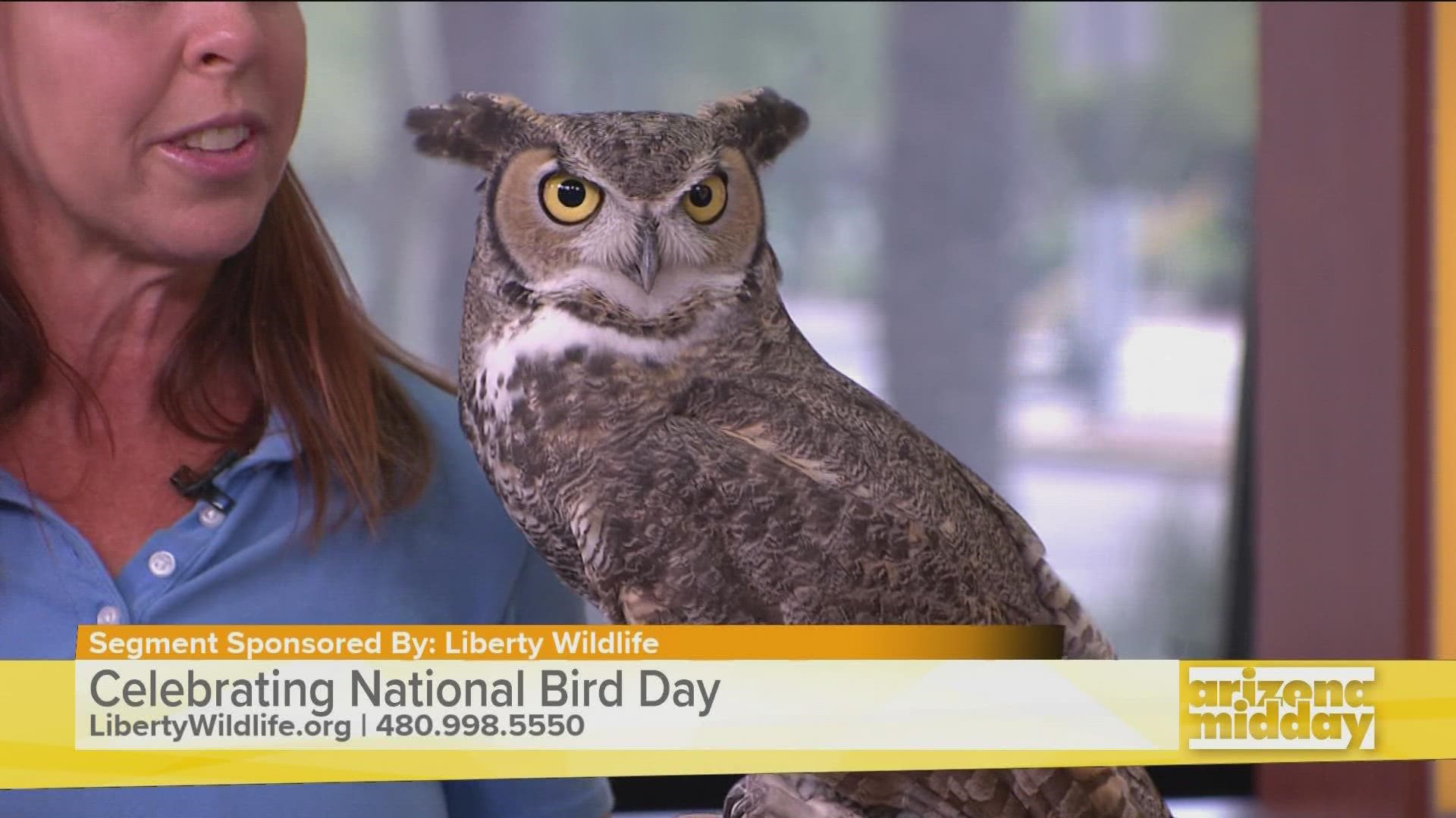 Laura Hackett with Liberty Wildlife stopped by with a rescued owl and hawk to help share more about National Bird Day.