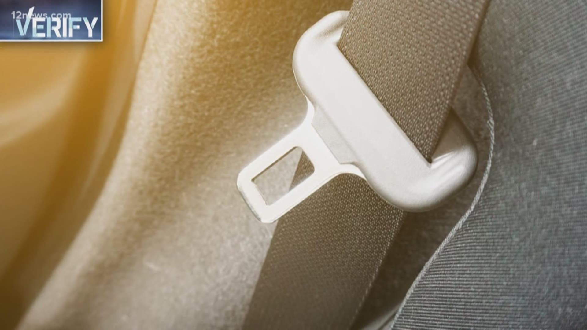 Principal 126+ imagen arizona seat belt law In.thptnganamst.edu.vn